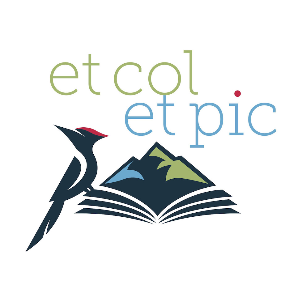 Moodle et col et pic